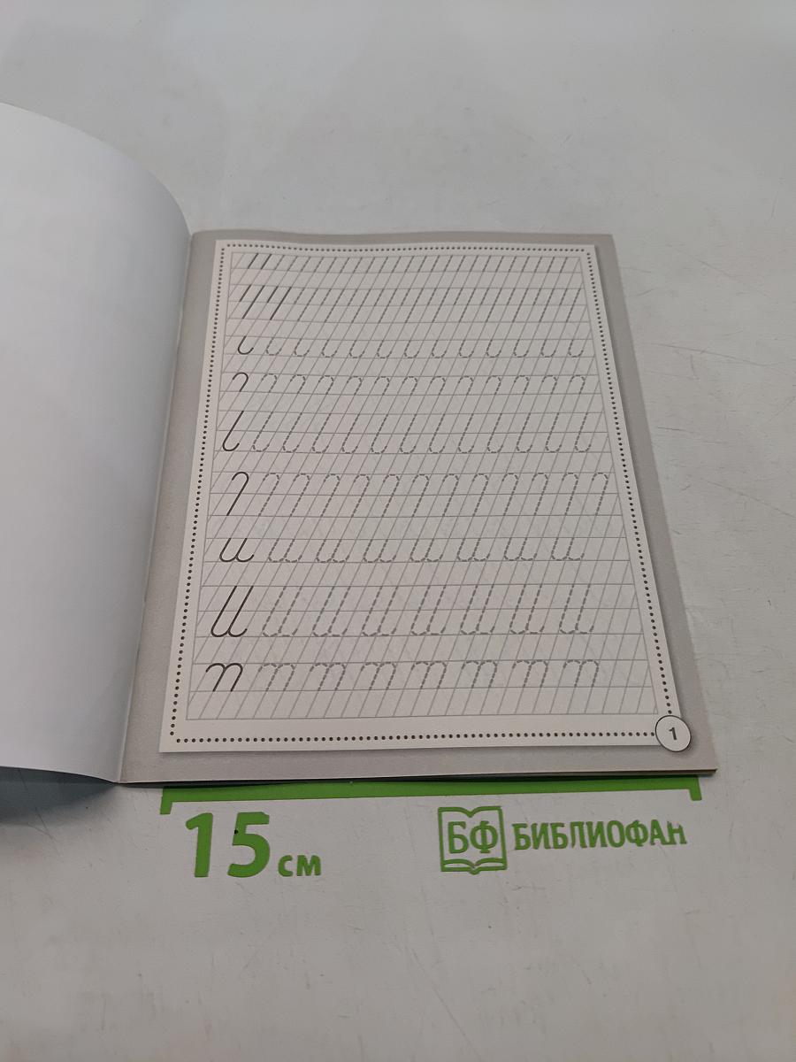 Прописи. Развиваем навыки письма. Рабочая тетрадь дошкольника