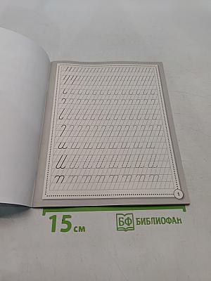 Прописи. Развиваем навыки письма. Рабочая тетрадь дошкольника
