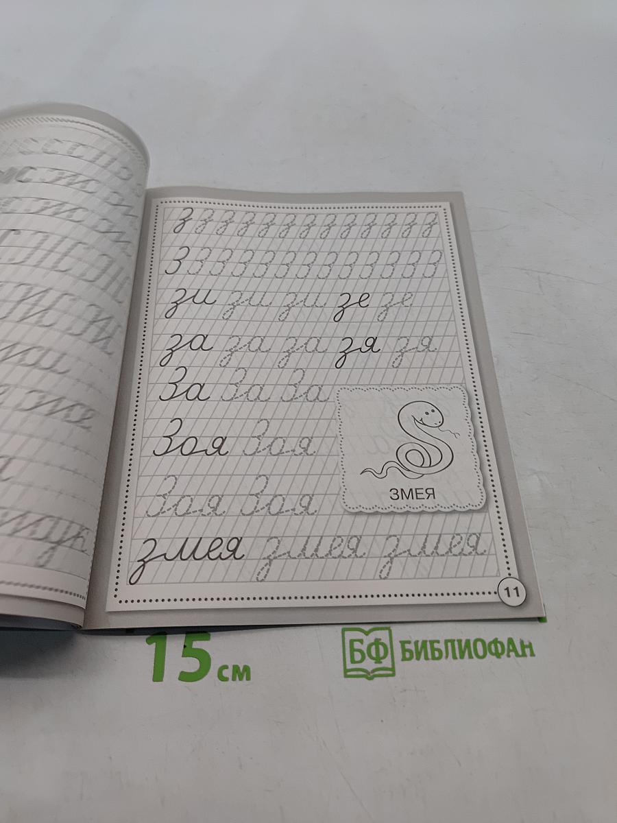 Прописи. Развиваем навыки письма. Рабочая тетрадь дошкольника