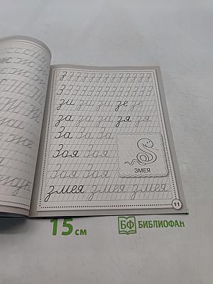 Прописи. Развиваем навыки письма. Рабочая тетрадь дошкольника