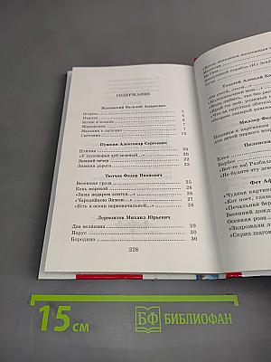 Стихи русских поэтов XIX-XX веков