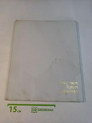 Kesäinen Turun saaristo