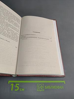 Русские на Мариенплац. Пилот первого класса. Самолет