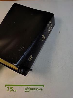 Biblia Internationala De Studiu Inductiv