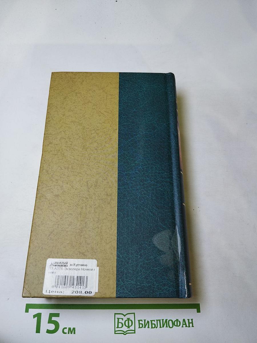 Ночной полет