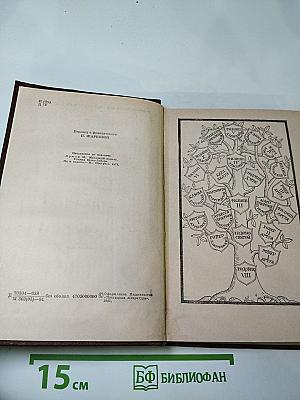 Железный король. Узница Шато-Гайара