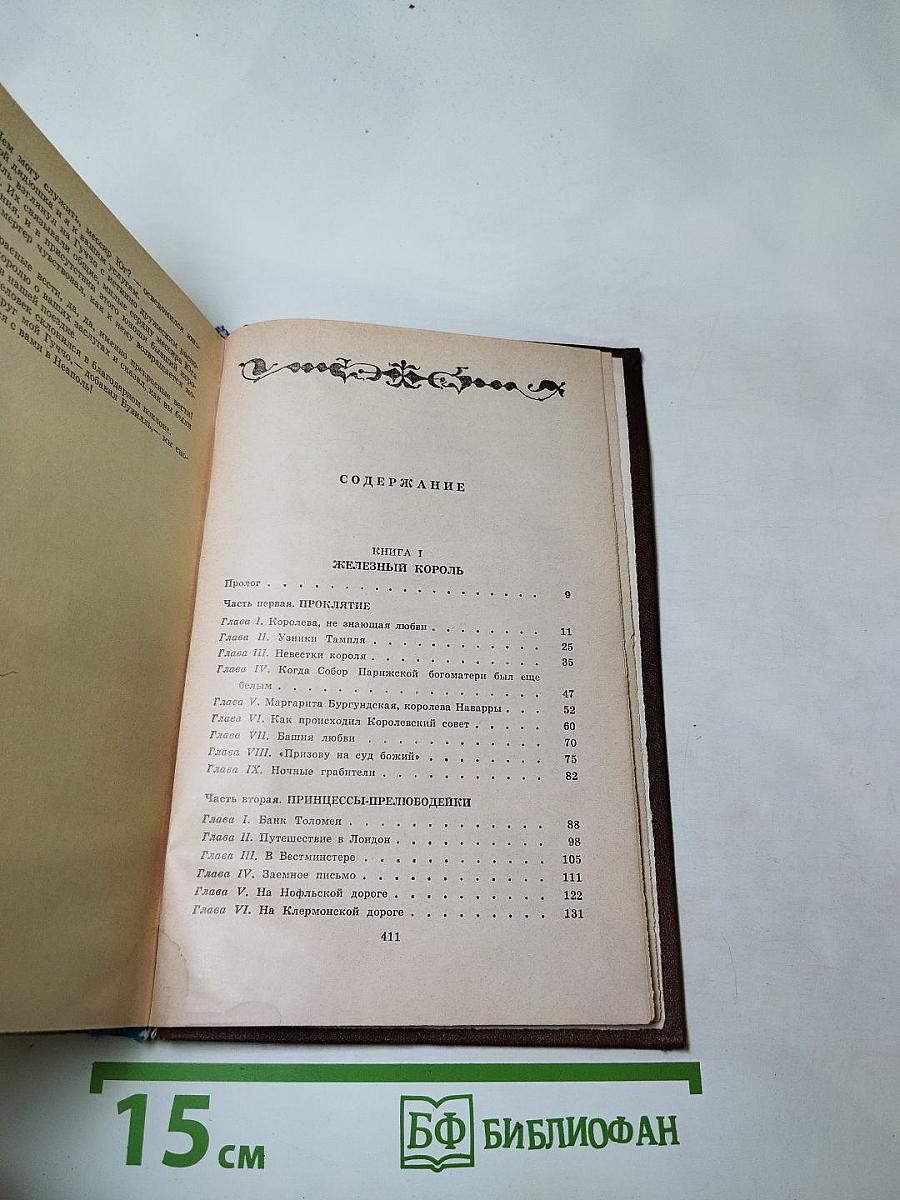 Железный король. Узница Шато-Гайара