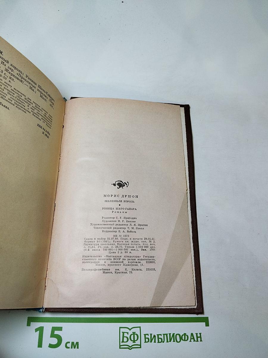 Железный король. Узница Шато-Гайара