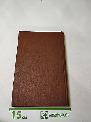 Железный король. Узница Шато-Гайара