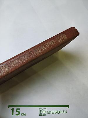 Железный король. Узница Шато-Гайара