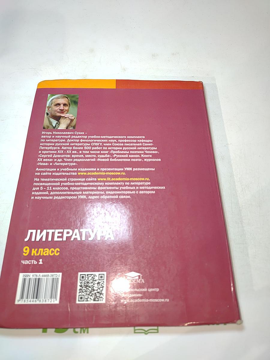 Литература. Учебник для 9 класса. Часть 1