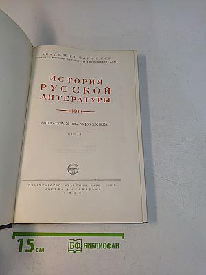 История русской литературы. Литература 70-80-х годов XIX века. Книга 1