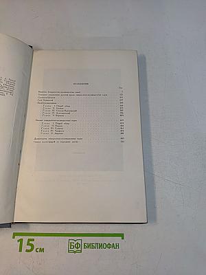 История русской литературы. Литература 70-80-х годов XIX века. Книга 1