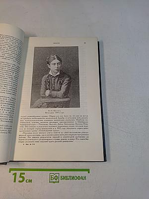 История русской литературы. Литература 70-80-х годов XIX века. Книга 1