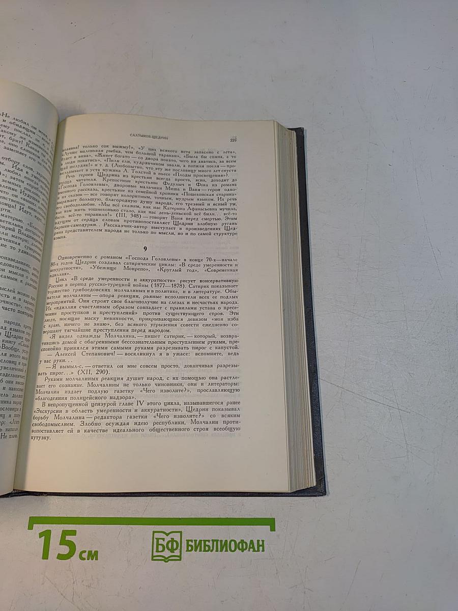История русской литературы. Литература 70-80-х годов XIX века. Книга 1