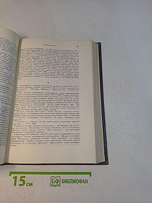 История русской литературы. Литература 70-80-х годов XIX века. Книга 1