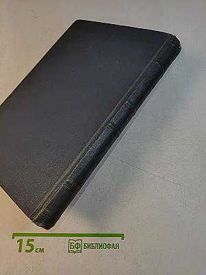 История русской литературы. Литература 70-80-х годов XIX века. Книга 1