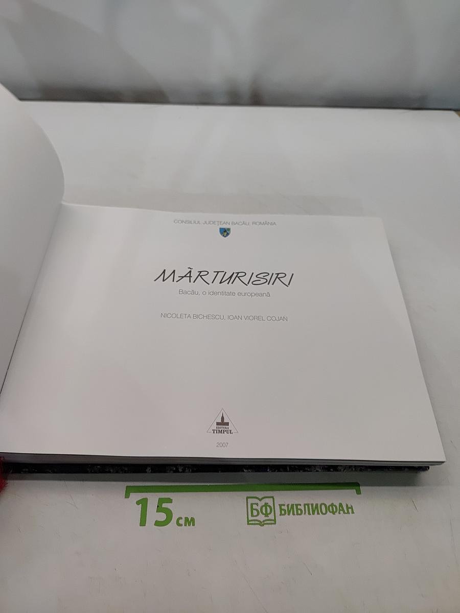 Mărturisiri. Bacău, o identitate europeană