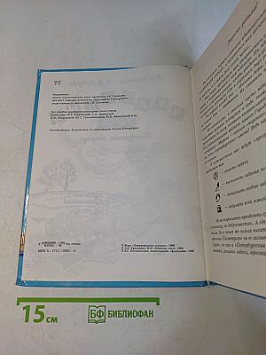 Чудесный город. Петербургская тетрадь