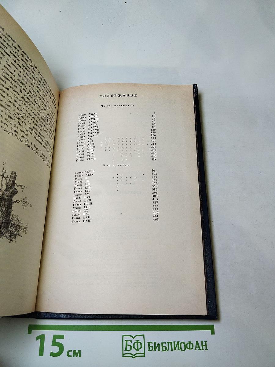 Унесенные ветром, Том 2