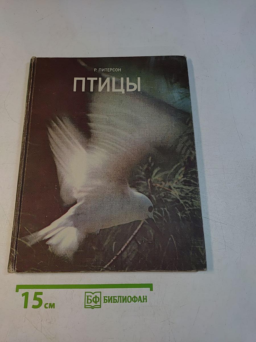 Птицы