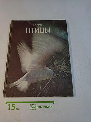 Птицы