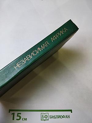 Независимая Африка: внешнеполитические проблемы, дипломатическая борьба