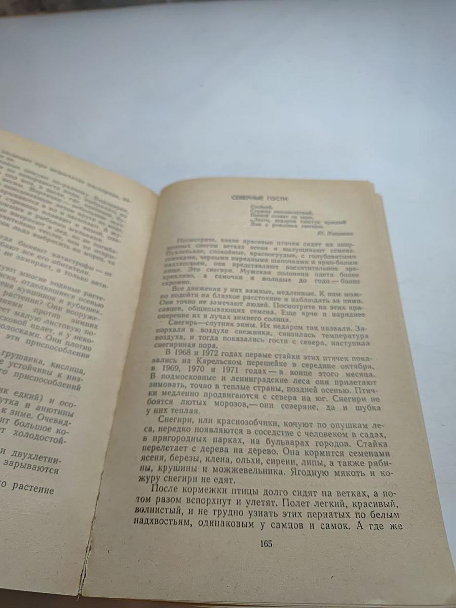 Родная природа