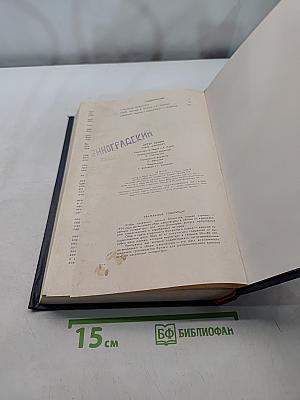 Отель «Аэропорт»