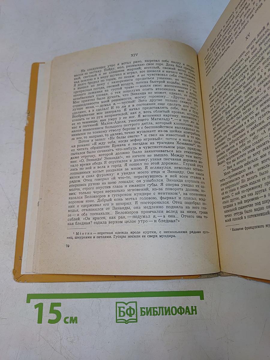 Повести. Стихотворения в прозе