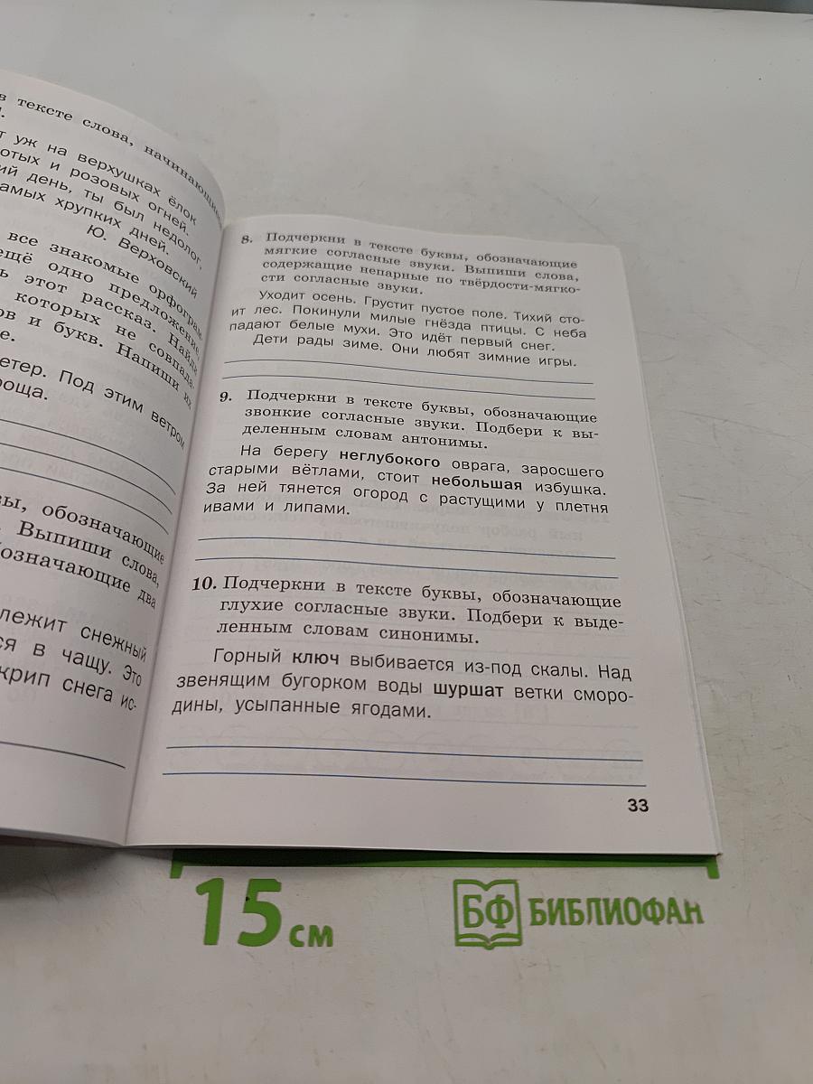 Тренажёр по русскому языку. 2 класс