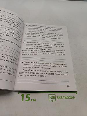 Тренажёр по русскому языку. 2 класс