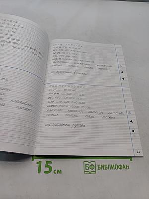 Тренажёр по чистописанию. Переход с узкой строки на широкую. 2-3 классы