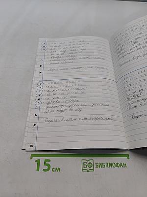 Тренажёр по чистописанию. Переход с узкой строки на широкую. 2-3 классы