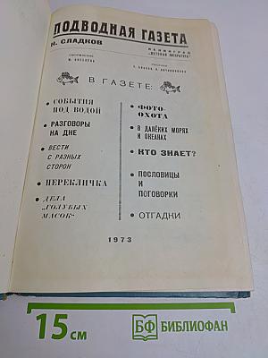 Подводная газета