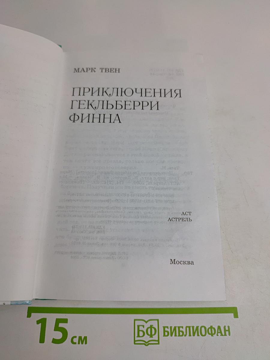 Приключения Гекльберри Финна