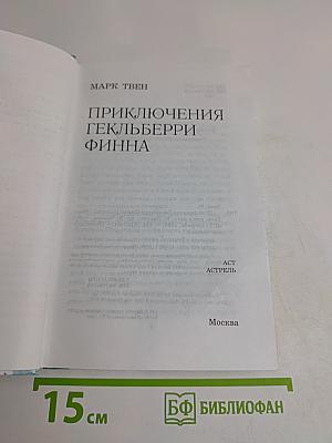 Приключения Гекльберри Финна
