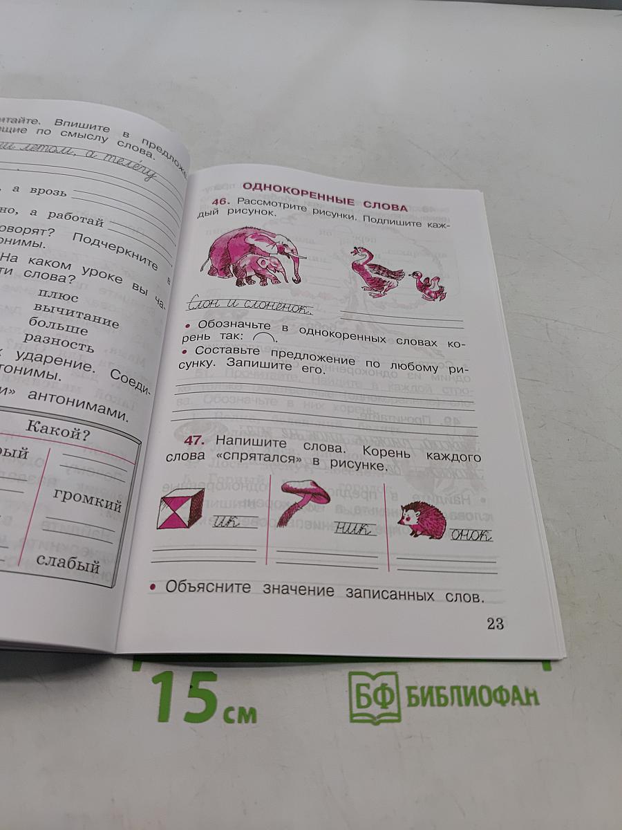Русский язык. Рабочая тетрадь. 2 класс. Часть 1