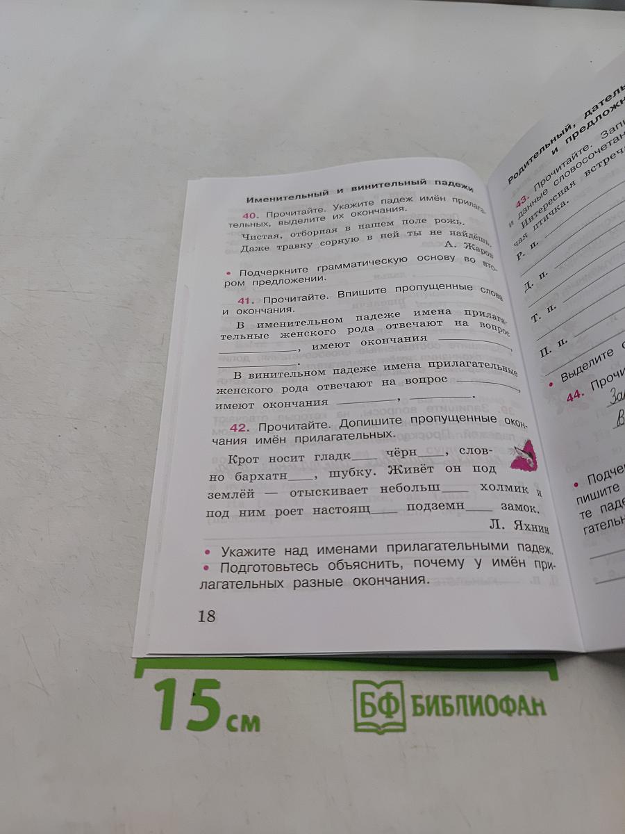 Русский язык. Рабочая тетрадь. 4 класс. Часть 2