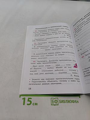 Русский язык. Рабочая тетрадь. 4 класс. Часть 2