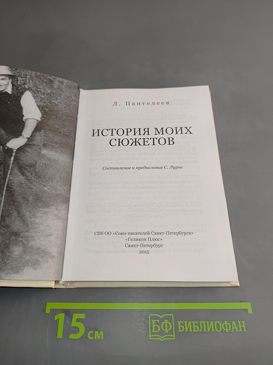 История моих сюжетов