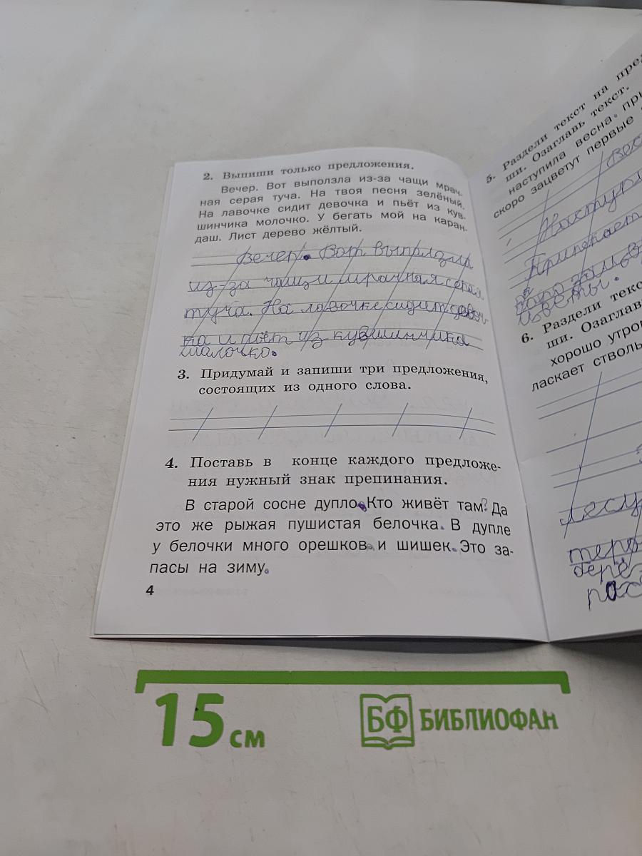 Тренажёр по русскому языку. 1 класс