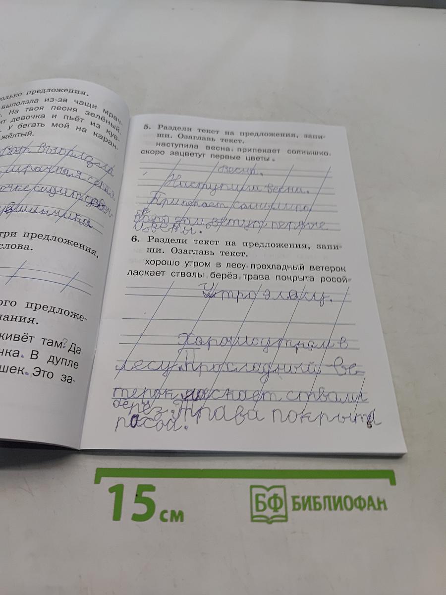 Тренажёр по русскому языку. 1 класс
