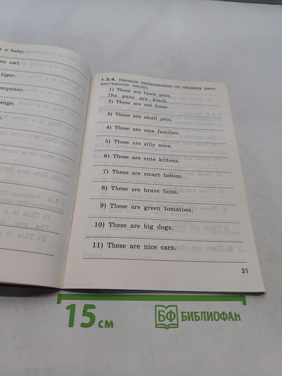 Тренажер. Грамматика английского языка. 2 класс. Часть 2
