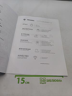 Уроки грамоты. НейроБукварь - прописи