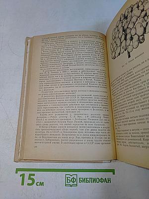 Лекарственные растения
