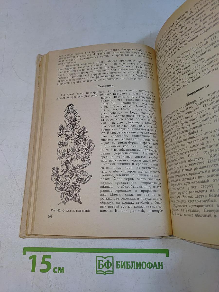 Лекарственные растения