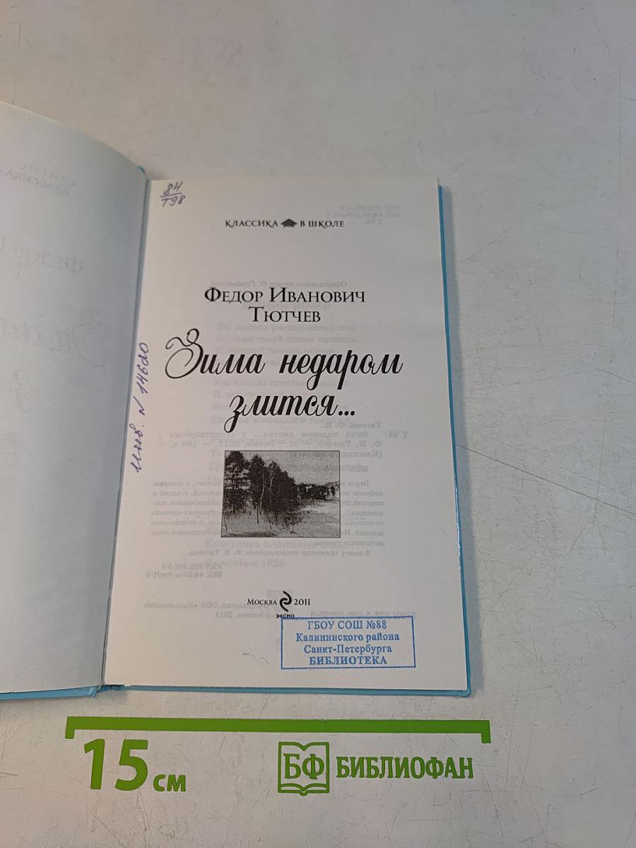 Зима недаром злится...