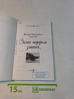 Зима недаром злится...