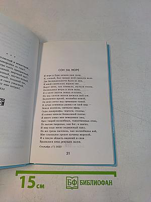 Зима недаром злится...